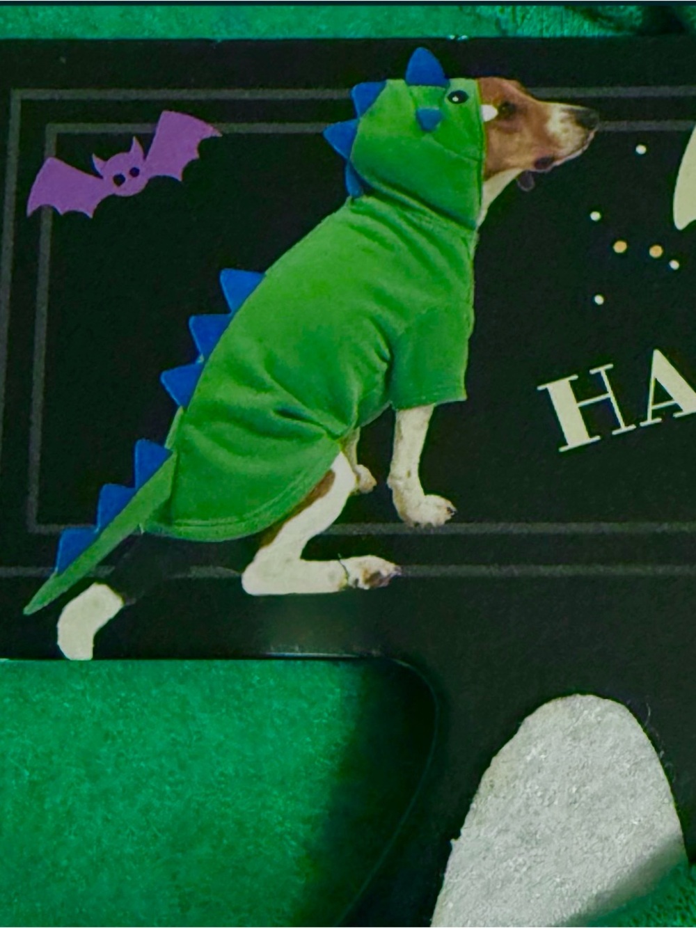 Halloween Dog Costume Dinosaur Dragon Green Blue M Medium Washable New NWT
